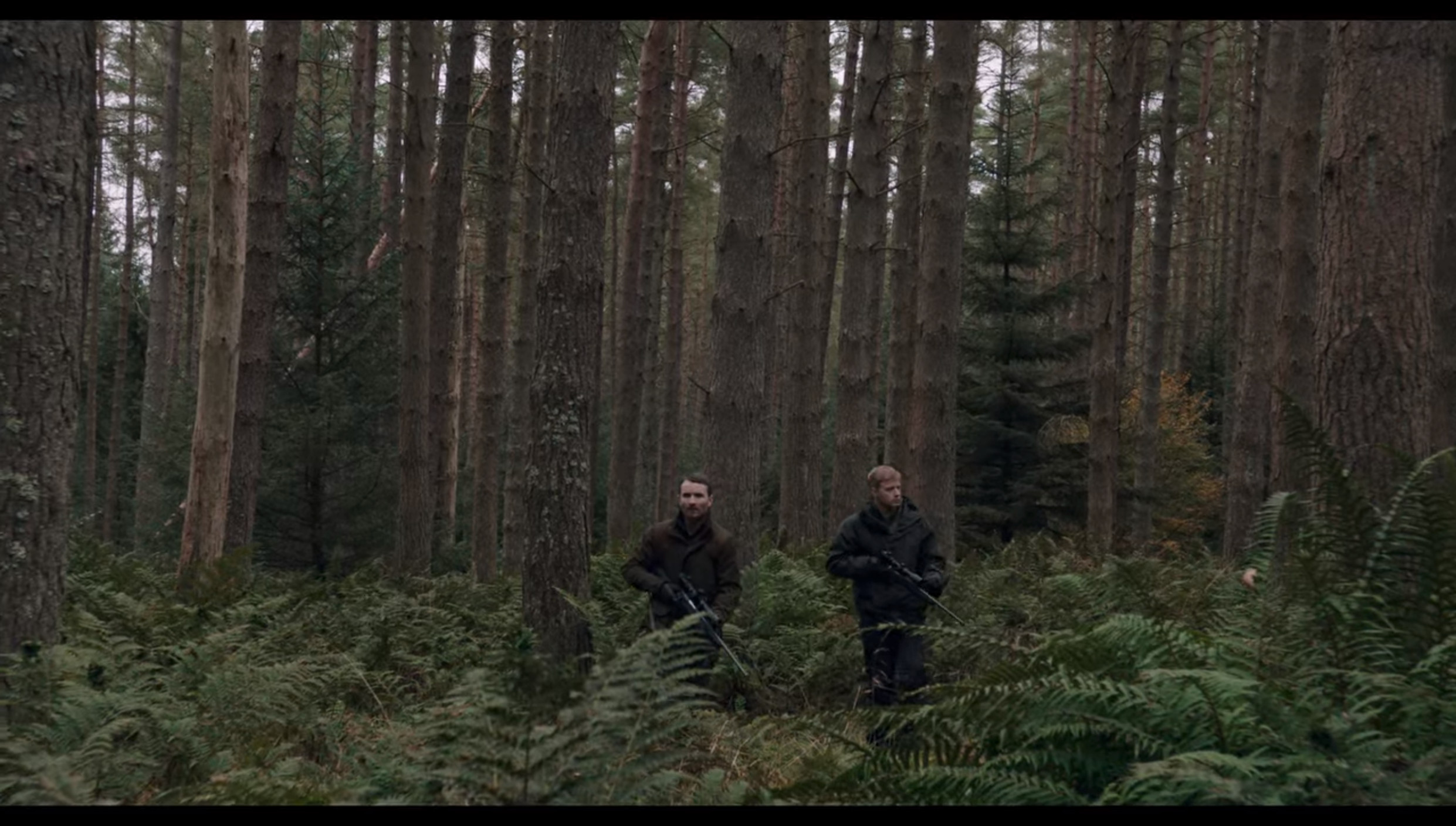 Ausencia - Still 2